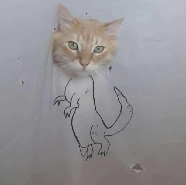 история о коте кот в ванной