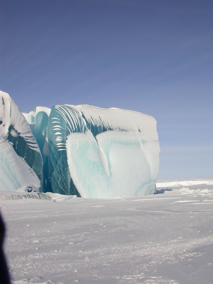 Самые красивые фотографии морозной зимы frozen07 Самые красивые фотографии морозной зимы