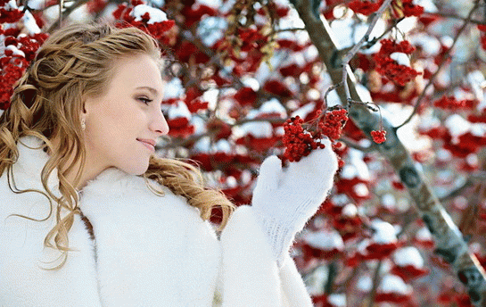 Покров Пресвятой Богородицы Покров Пресвятой Богородицы