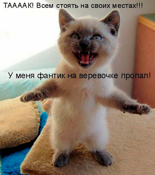 ÐаÑÑинки по запÑоÑÑ ÑоÑо пÑиколÑ