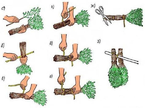 Вяжем веники из дуба Вяжем веники из дуба
