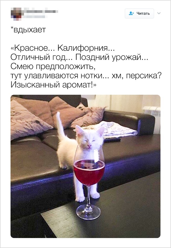FotorCreated