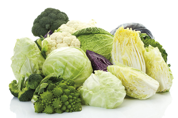 13 продуктов, которые расправляются с раковыми клетками, не трогая здоровые 13 продуктов, которые расправляются с раковыми клетками, не трогая здоровые