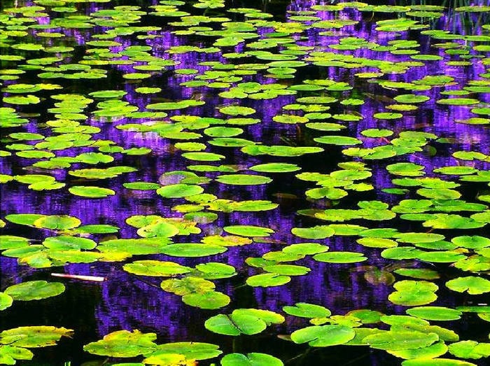 Дивная красота нашей матушки-Земли от Михалыча