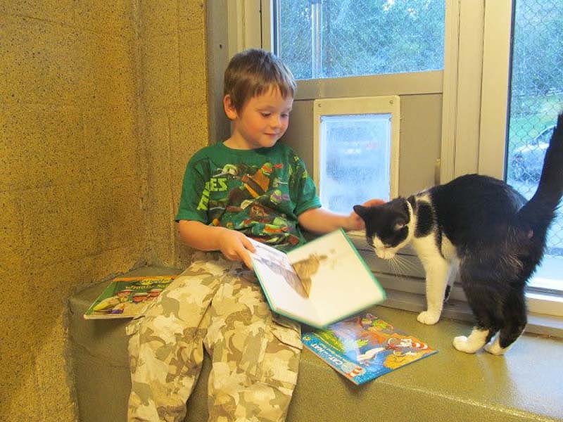 bookbuddies91 Дети учатся читать, а коты им помогают