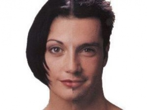 Трансвеститы кто такие, частное порно не хотела а кончила