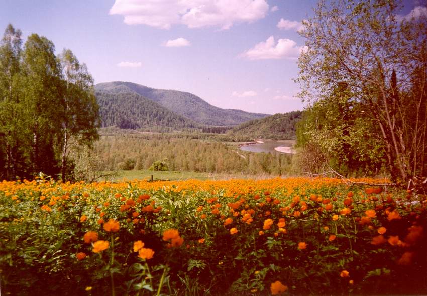 altai3_image002