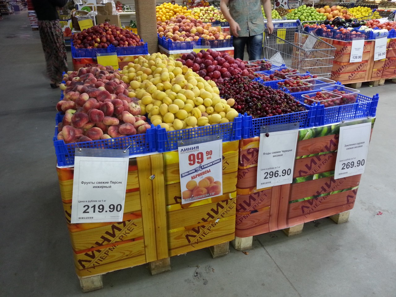 Голодающая РФ-ия. Клацающий зубами Липецк. Ёжики, в ужасе разбегающиеся по кустам при виде голодных людей.