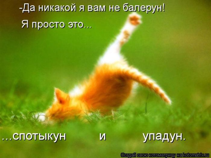 Лучшие котоматрицы за неделю