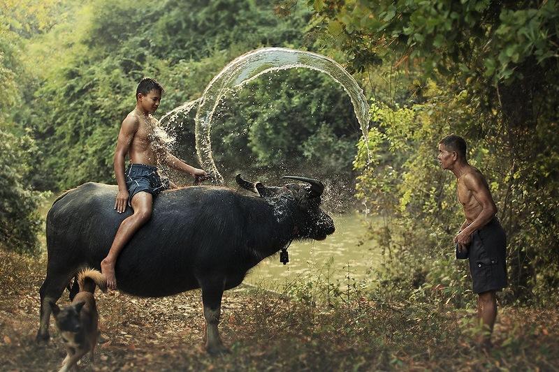 Whanset12 �������� �������� ������� � ����������� �������� �������