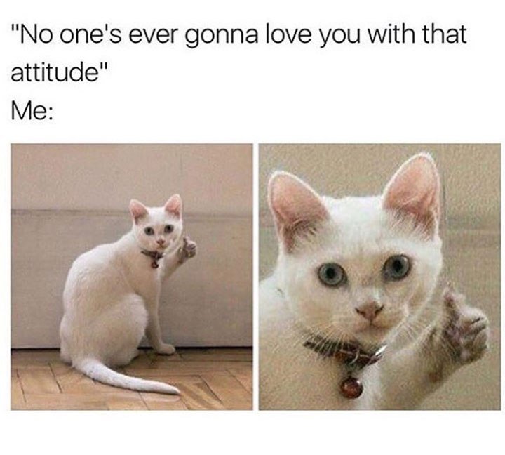 21 random memes thatll make you spit out your morning coffee april 21 2017 2 Random memes that made us spit out our morning coffee this week (59 photos)