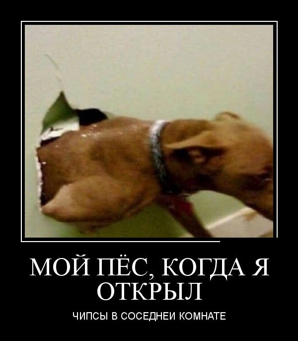 Демотиваторы №2009 (30 фото)