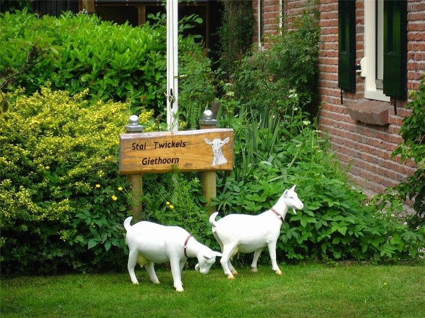 Giethoorn15 Гитхорн: деревня, где нет дорог