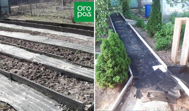 Из чего не стоит делать садовые дорожки