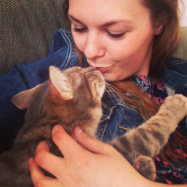 22 вещи, которые поймут только те, у кого есть кот поймут только те у кого есть кот
