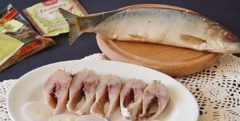 Малосольная селедка в домашних условиях: еще один рецепт для любителей рыбы