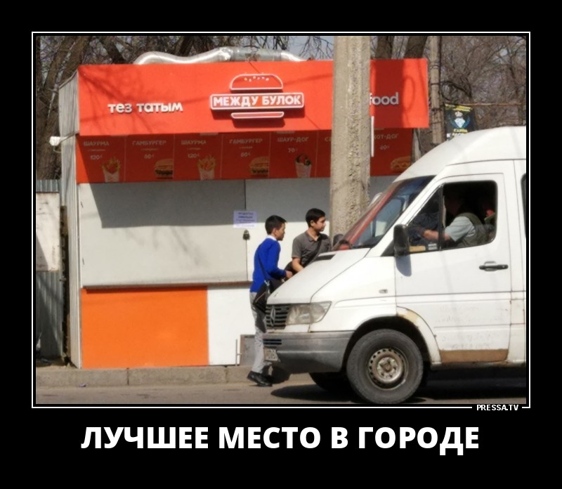 ДЕМОТИВАТОРЫ+ ДЕМОТИВАТОРЫ+