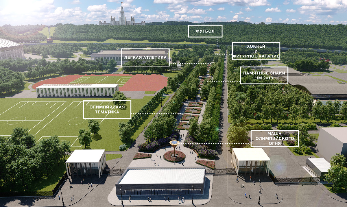 Новые Лужники — посмотрите какая красота!