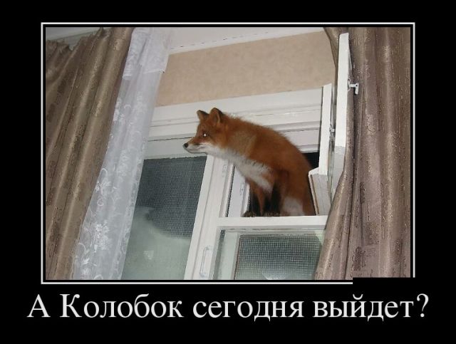 Демотиваторы (30 фото) Демотиваторы (30 фото)