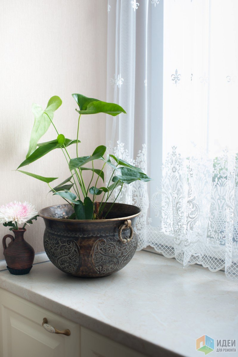 любимый горшок из Индии Наша любимая трешка. Кухня.