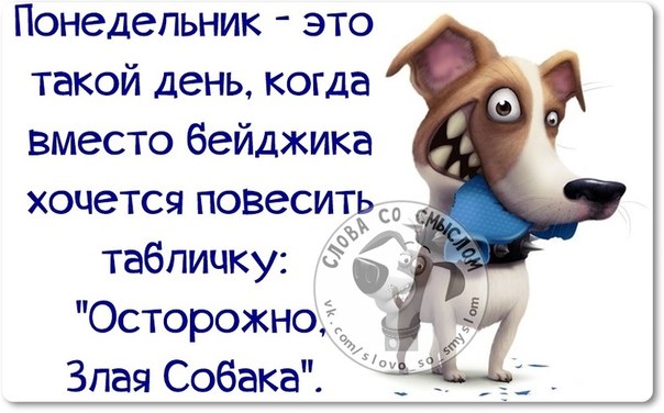 Обои для спальни: выбор, комбинирование, фото Молочная сыворотка, вас ждёт молодость