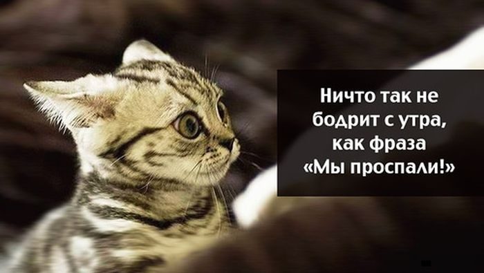Классные цитаты