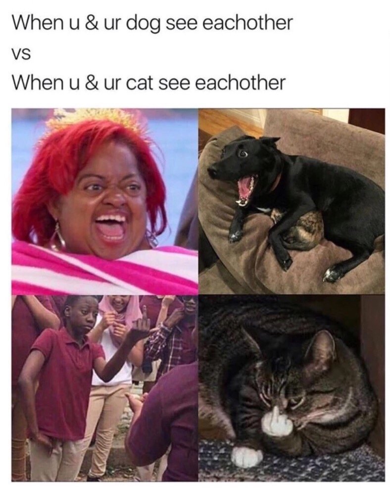 tk random memes that made us spit out our morning coffee this week 236 Random memes that made us spit out our morning coffee this week (59 photos)