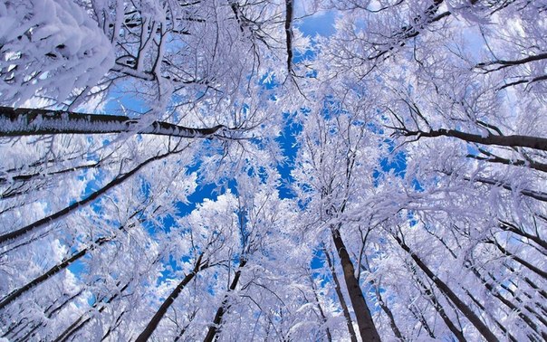 10 зимних пейзажей в существование которых трудно поверить