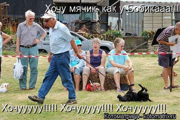 ����������� (49 ����)