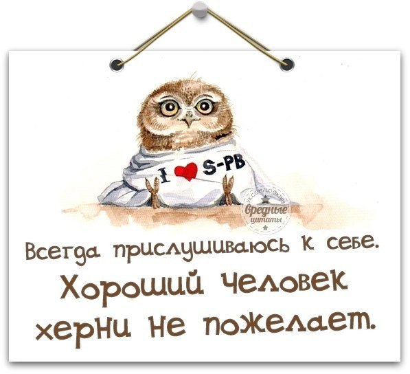 Статусы новые и смешные про все Статусы новые и смешные про все
