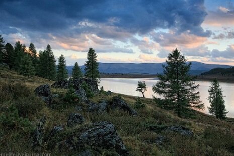 Улаганский тракт