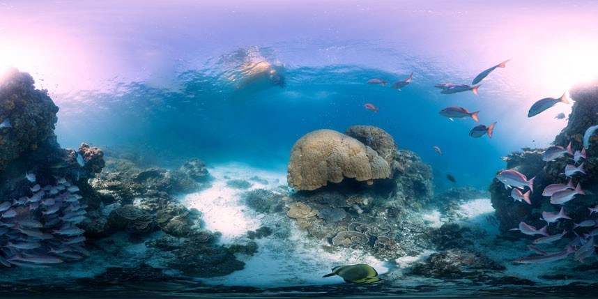 Explore coral reefs 1