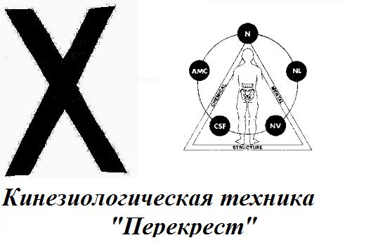 Кинезиологическая техника «Перекрёстный кроль» — доступ к потенциальным возможностям мозга и тела Кинезиологическая техника «Перекрёстный кроль» — доступ к потенциальным возможностям мозга и тела