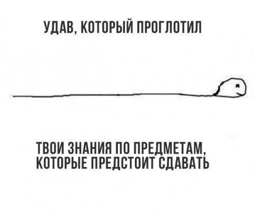 Новые фотомемы на Бугаге (27 шт) Новые фотомемы на Бугаге (27 шт)