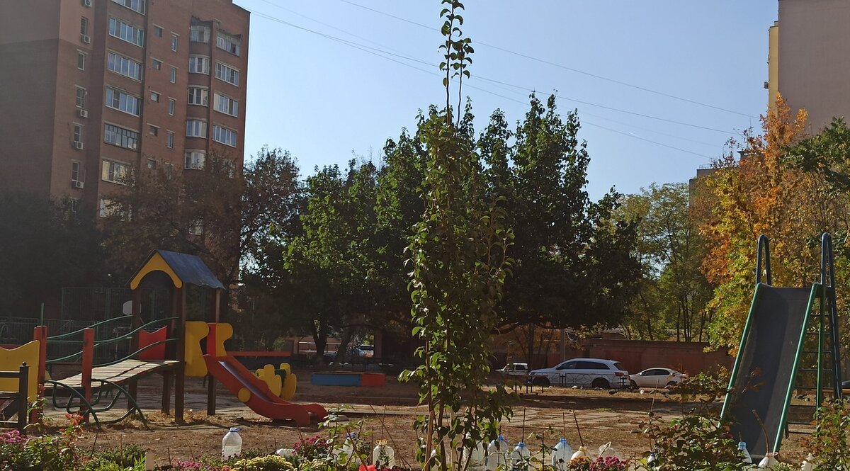 Почему вы не задержитесь надолго в детском саду?