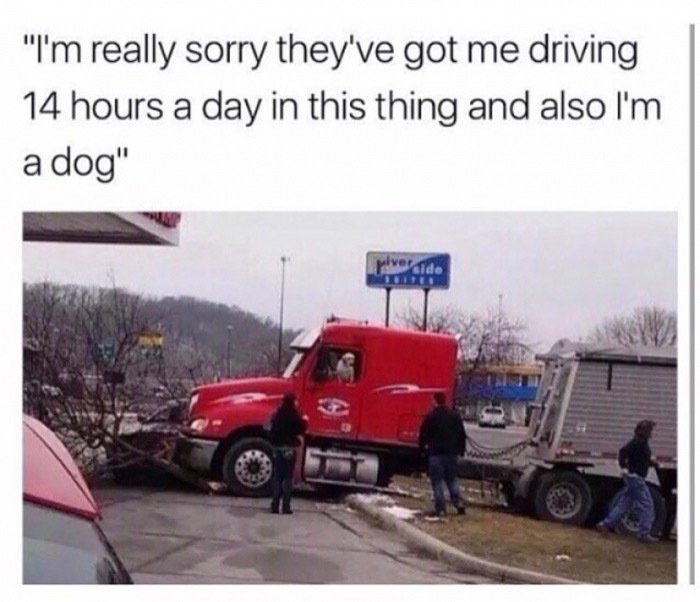 tk random memes that made us spit out our morning coffee this week 241 Random memes that made us spit out our morning coffee this week (59 photos)