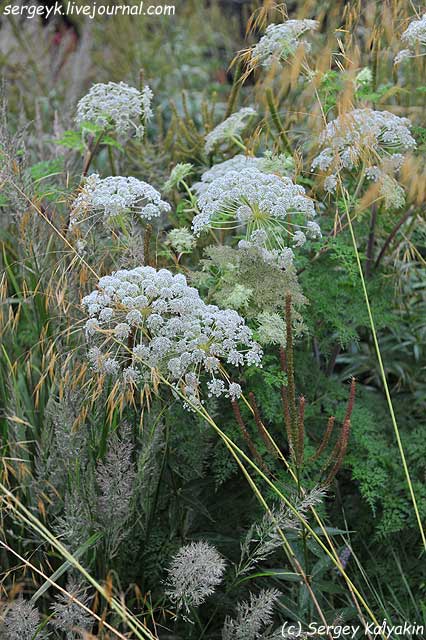 Trantham Gardens 228.JPG Trantham Gardens 228.JPG