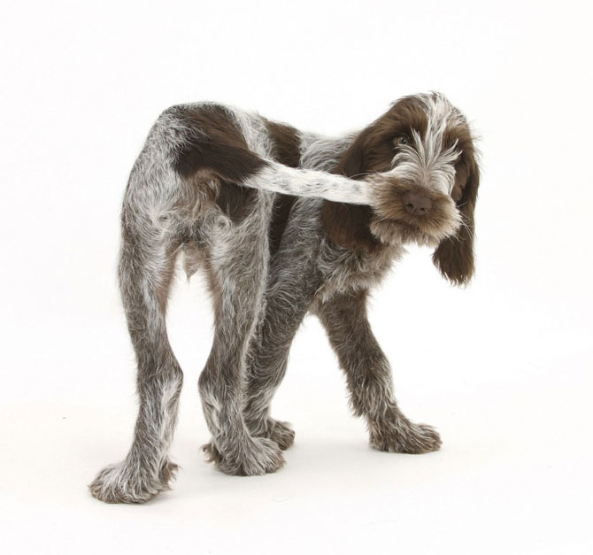 Позитивненько!! Позитивненько!!