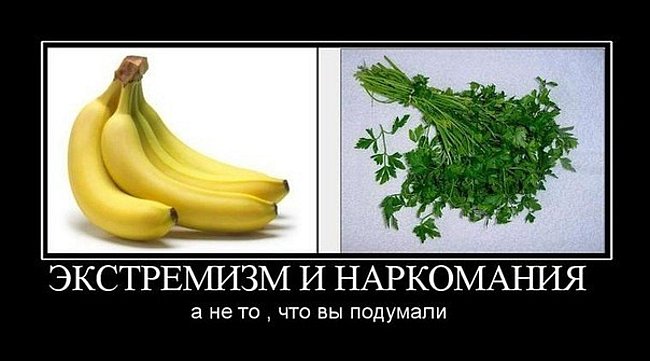 Демотиваторов поднакопилось