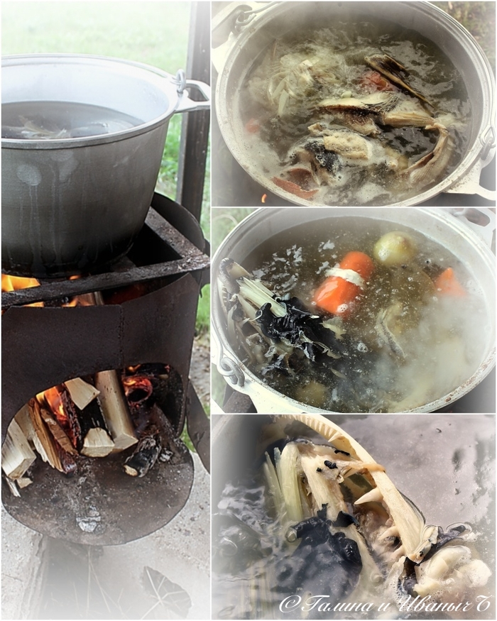 УХА из водки с головёшкой Еда, Уха, Уха на костре, Рыба, Тройная уха, Длиннопост