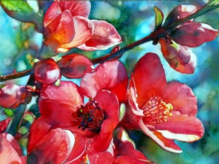 Любовь к природе. Jeannie Vodden
