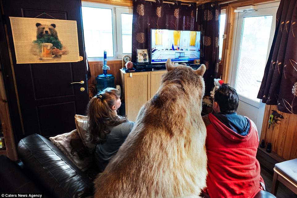 Trust: The couple say the bear is so domesticated he even sits down with them in the evenings to watch television on the sofa