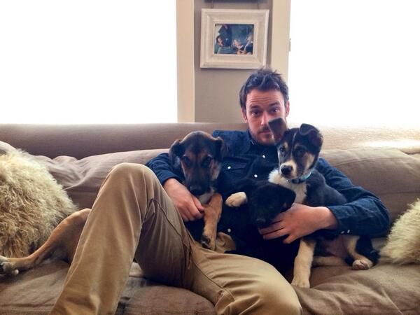 История сочинских щенков  сочи, щенки