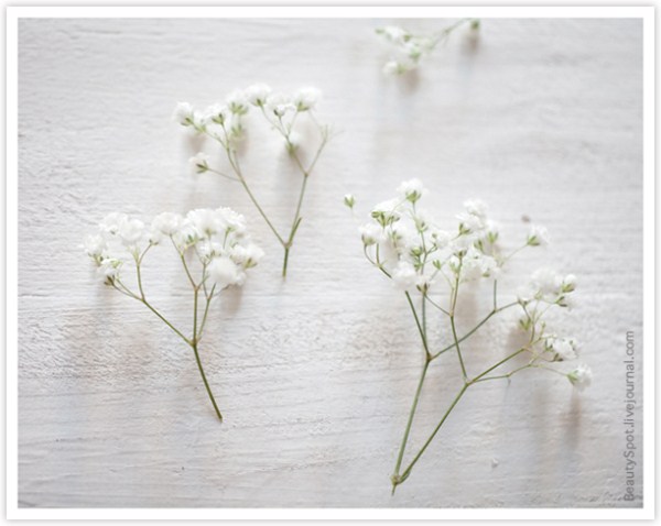 3256587_5_1_ (600x478, 47Kb)