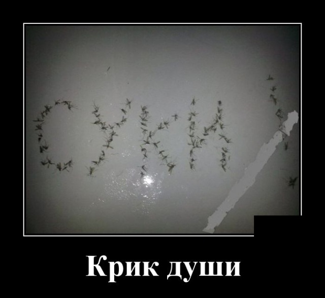 Демотиваторы смешные Демотиваторы смешные