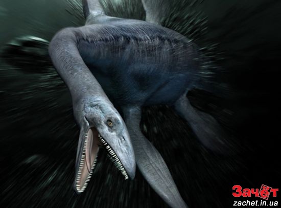 В водах Арктики обнаружен гигантский монстр