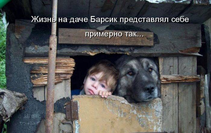 Уфф!!! Ну наконец-то! Котоматрицы великолепные, каждая с доброй улыбкой!!!