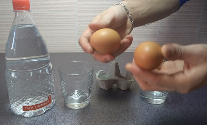 Что будет, если опустить яйцо в уксус