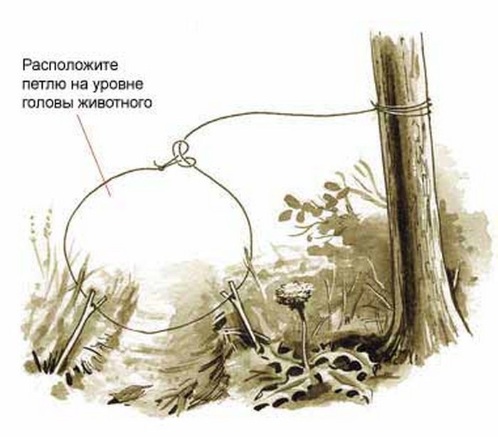 Наземный капкан