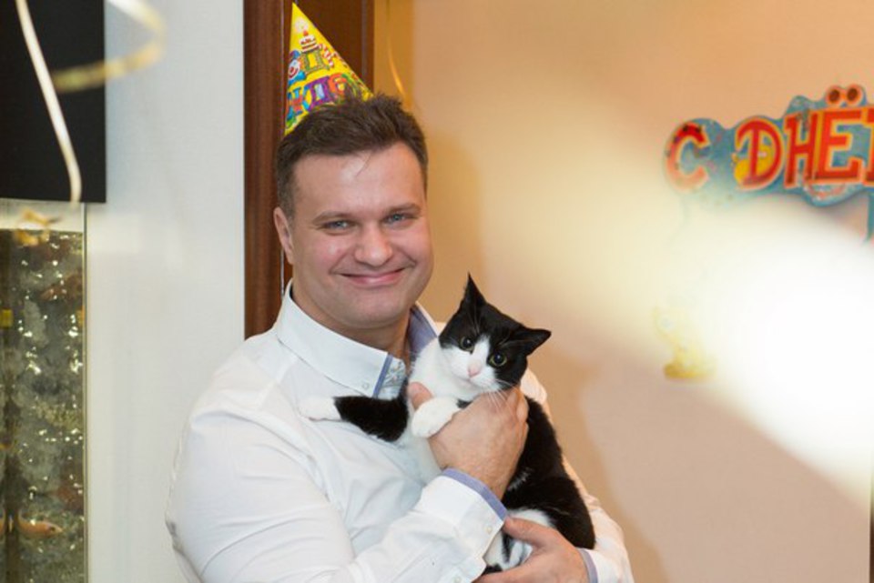 За спасение кошек - 2 года тюрьмы За спасение кошек - 2 года тюрьмы